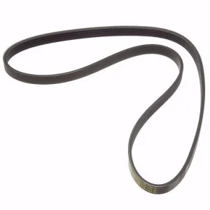 courroie d'accessoire (courroie d'alternateur)